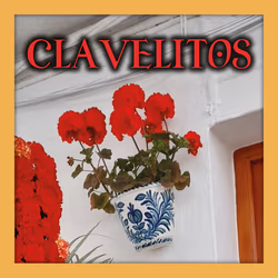 Imagen de la canción Clavelitos