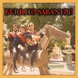 Imagen de la canción Burrito sabanero